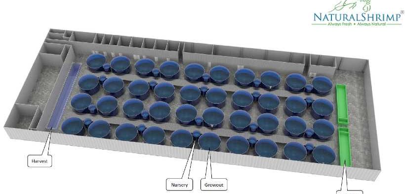 NATURALSHRIMP TO EXPAND