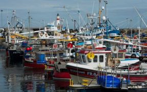 FISHING VESSEL OWNERS