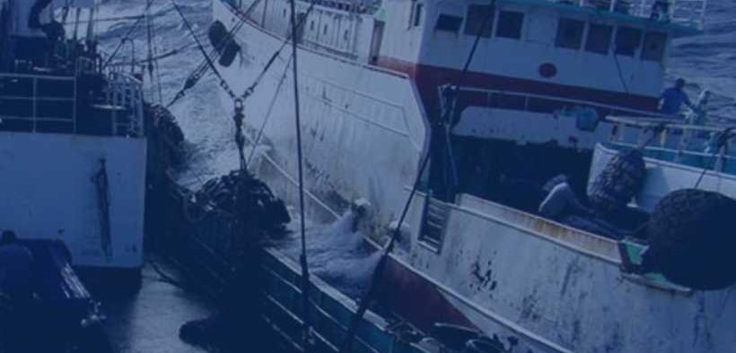 GLOBAL FISHING WATCH UNVEIL TECHNOLOGY 2