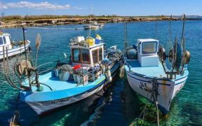 CYPRIOT SEAFOOD SECTOR