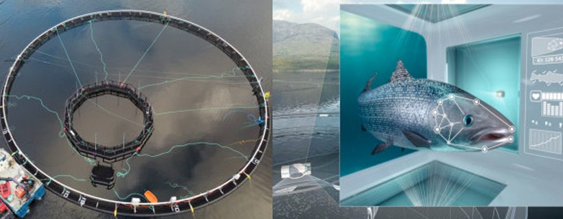 Cermaq aims to improve fish health and welfare with iFarm