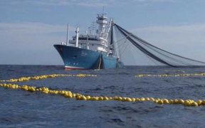 EUROPÊCHE CALLS FOR CHINESE TUNA