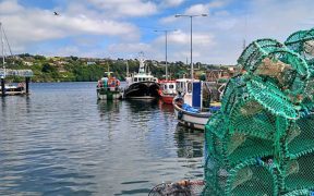 Irish stress importance of good Brexit deal for fisheries