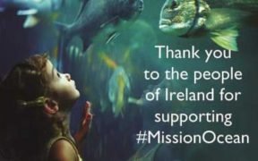 PEOPLE OF IRELAND CONTRIBUTE
