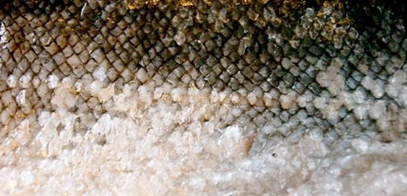 Sandford and health & beauty brand announce merger