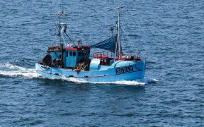 Agreement reached on Baltic fishing opportunities for 2021