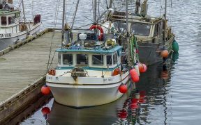 CANADA TO EASE RELATIONS BETWEEN COMMERCIAL AND INDIGENOUS FISHERS