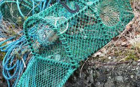 Defra underlines commitment to act against 'ghost' fishing gear