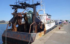 Europêche and environmental NGOs demand simplified EU fisheries control rules
