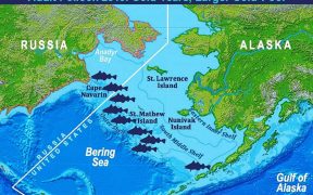 New research confirms movement of pollock between Russia and US