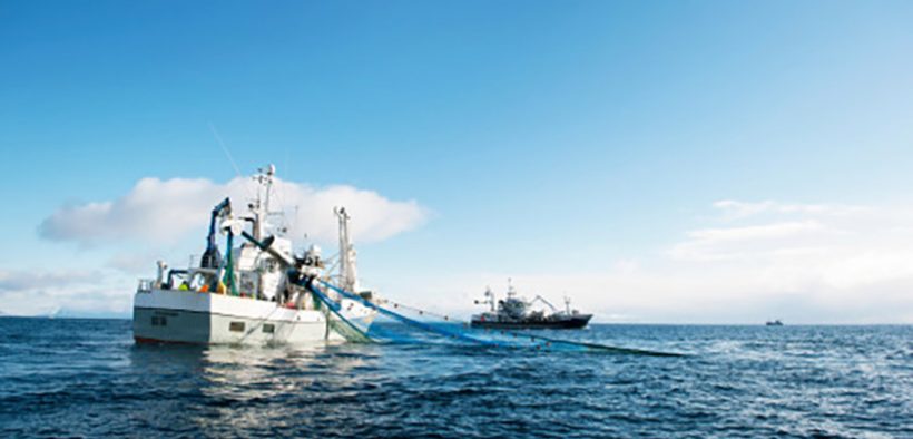 Norwegian seafood exports remain ahead of over last year despite a decline in September