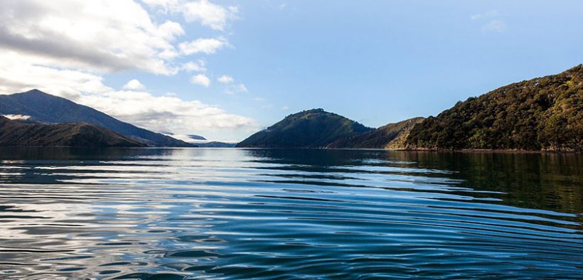 Sanford gets new 5.7m salmon barge