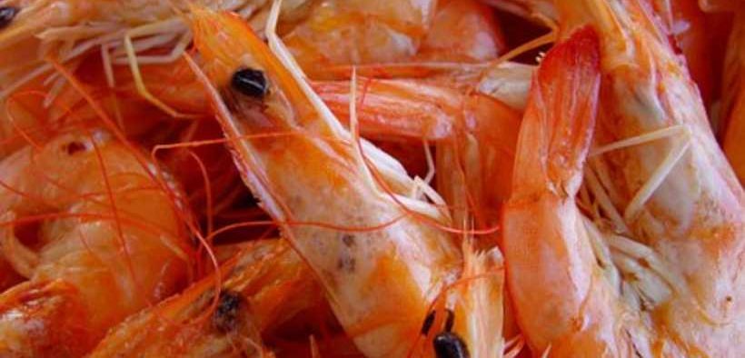 VIETNAMESE SHRIMP EXPORTS TO CHINA
