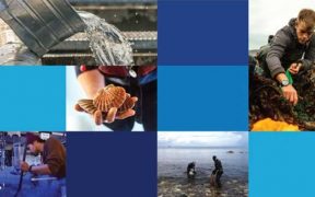 ENGLISH AQUACULTURE STRATEGY