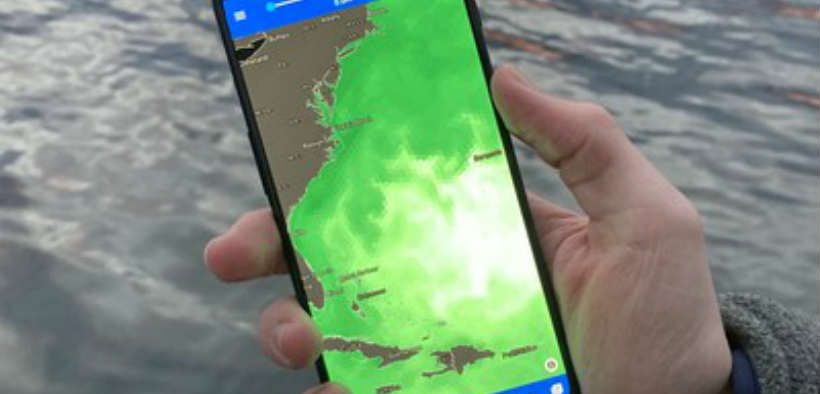 global-ocean-data-in-the-palm-of-your-hand