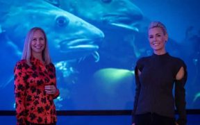 NORWEGIAN SEAFOOD COUNCIL JOINS FORCES