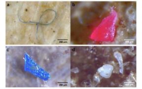 MICROPLASTIC POLLUTION FROM TEXTILES (1)