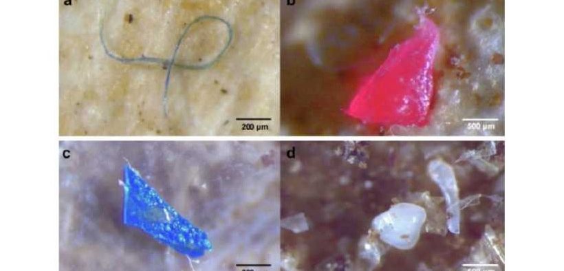 MICROPLASTIC POLLUTION FROM TEXTILES (1)