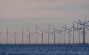WINDFARM REVIEW TO ASSESS MARINE