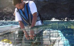 FUNDING BOOST FOR SUSTAINABLE