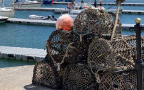 MANAGING CRAB AND LOBSTER (1)