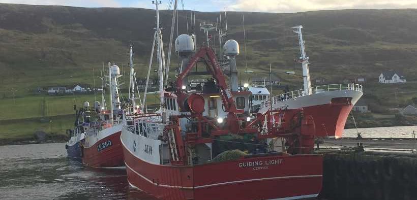 FIS ANNOUNCE NEW PROJECTS