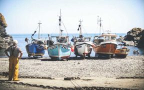 MMO LAUNCHES SEAFOOD RESPONSE