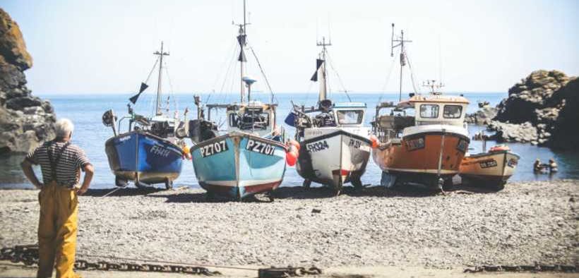 MMO LAUNCHES SEAFOOD RESPONSE