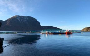 LOCH LONG SALMON ATTRACTS INVESTMENT