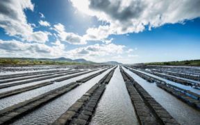 START-UP AQUACULTURE ACCELERATOR