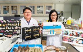 Trawl ban boosts marine diversity in Hong Kong waters