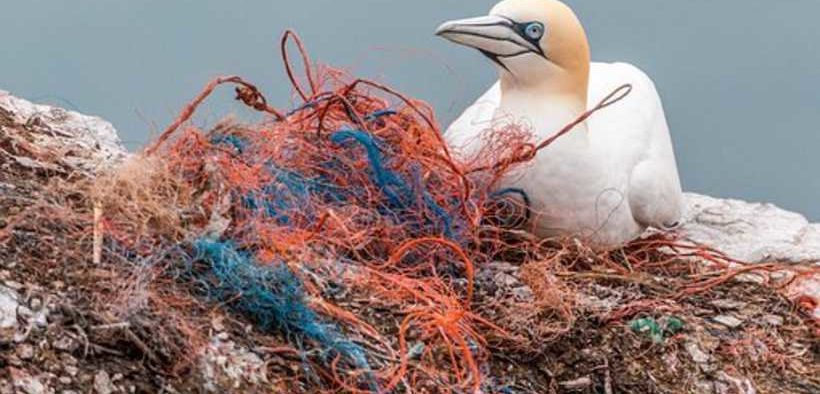 WELCOME FOR AUSTRALIAN CRACKDOWN ON GHOST NETS