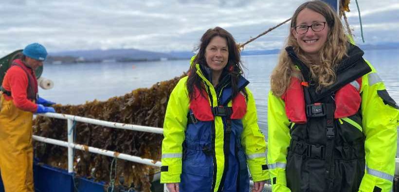 First Seaweed Harvest from Scalpay Project