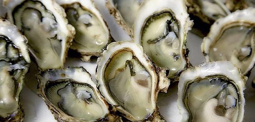 Stressed-out young oysters may grow less meat on their shells