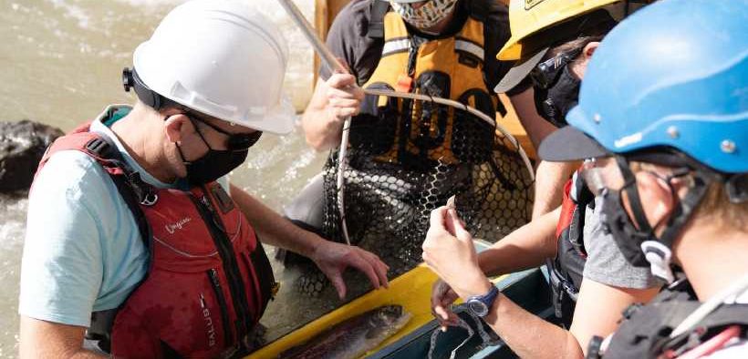 CANADA IMPLEMENTS MEASURES TO SAVE