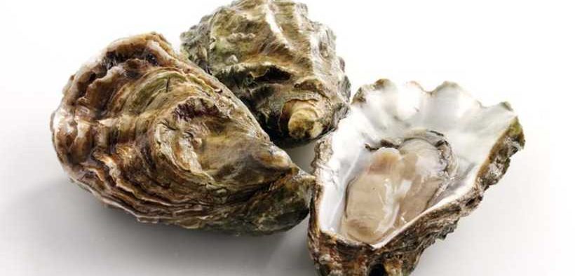 NEW HEALTH CERTIFICATES FOR EXPORTS