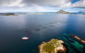 NOVA SEA JOINS NORWEGIAN SEAFOOD TRUST