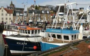 SEA ALLIANCE PROGRAMME