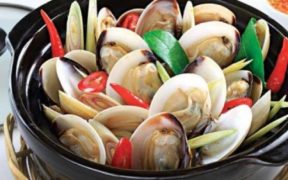 Vietnamese clam exports to EU rise