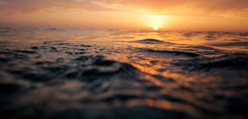 GRIEG SEAFOOD JOINS CONSORTIUM