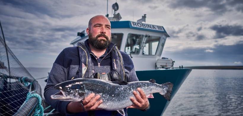 New Organic Salmon Site