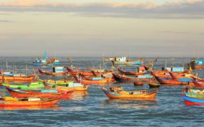 Vietnamese fishery production rises