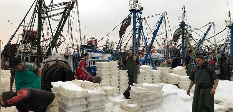 EURO-MOROCCAN FISHING SECTOR UNITED (1)
