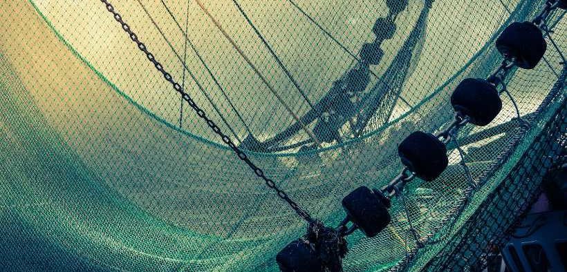 FISHING INTO THE FUTURE APPOINTS