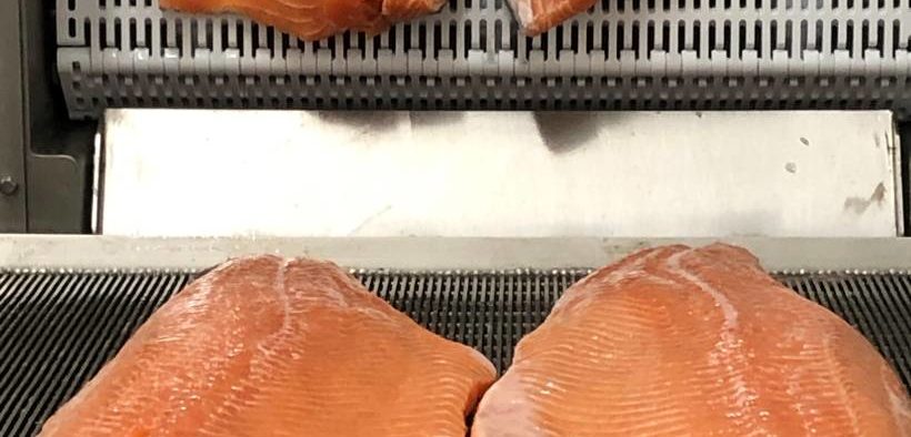 GEA injecting value into the seafood sector 