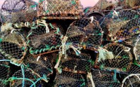 Irish Seafood Sector Task Force publishes Brexit impact report