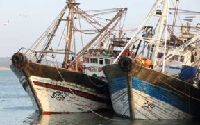 EU SUPPORTS FISHERIES PROJECTS IN MOROCCO (1)