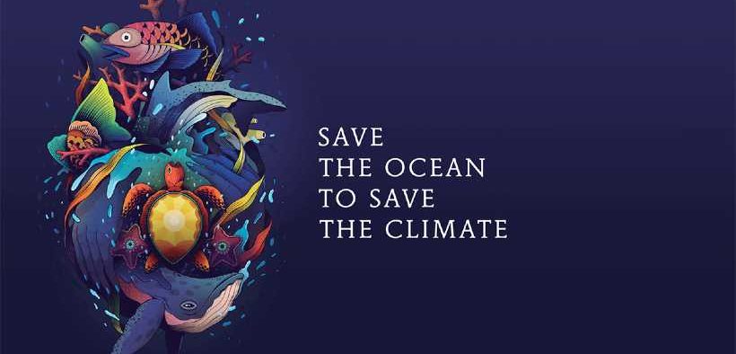FISH AND THE OCEAN PLAY A CRUCIAL ROLE (1)