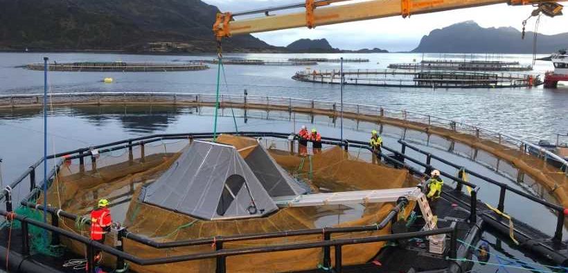 IFARM PROJECT AIMS TO IMPROVE FISH WELFARE