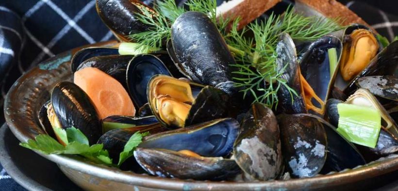 IRISH FOCUS ON NEW FOOD STRATEGY